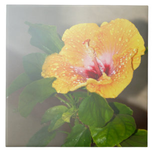 Yellow hibiscus flower Tile