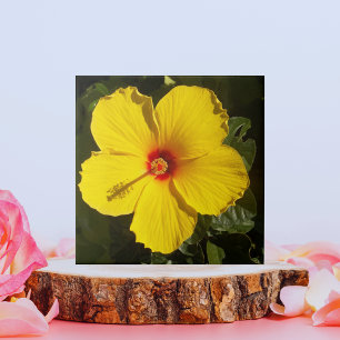 Yellow Hibiscus Flower Tile