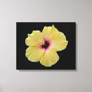 Yellow Hibiscus Flower Wrapped Canvas