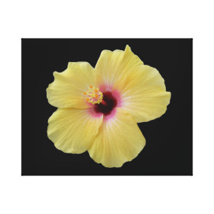 Yellow Hibiscus Flower Wrapped Canvas