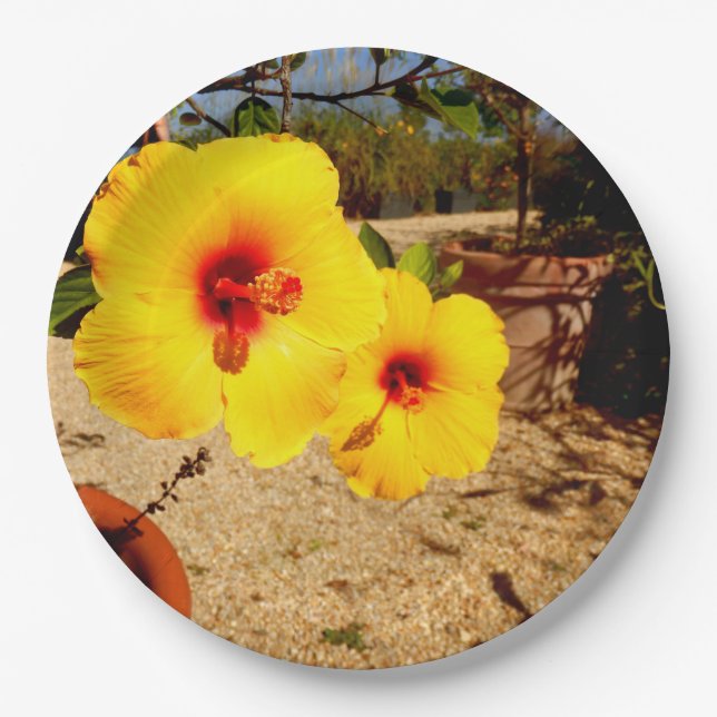 Yellow Hibiscus Paper Plate (Front)