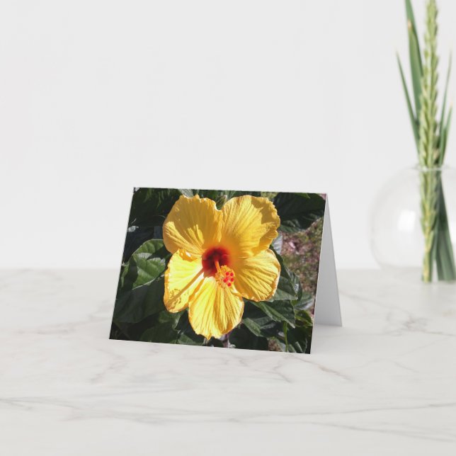 Yellow Hibiscus Photo Folded Note Card (Front)