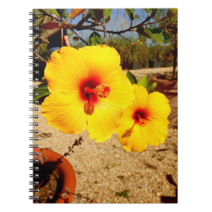 Yellow Hibiscus Photo Notebook