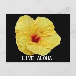 Yellow Hibiscus Postcard