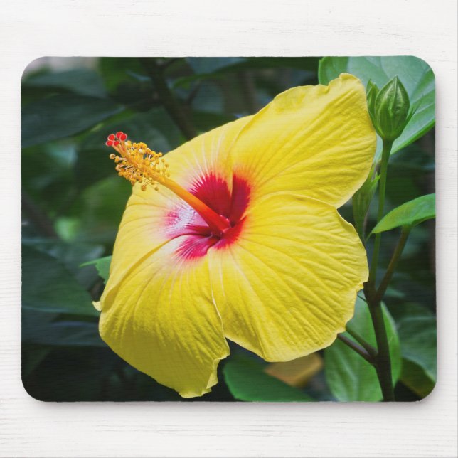 Yellow Hibiscus Sideview Mouse Pad (Front)