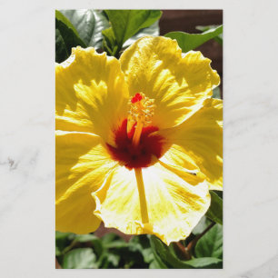 Yellow Hibiscus Stationery
