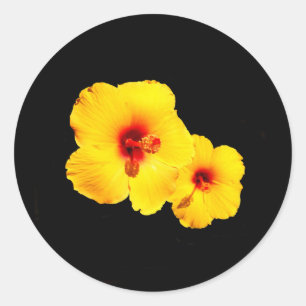 Yellow Hibiscus Stickers