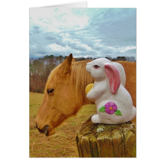 Yellow Horse, Spring Rabbit (Front)