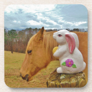 Yellow Horse, Spring Rabbit Coaster