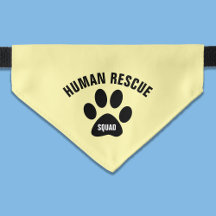 Yellow Human Rescue Squad Pet Cat