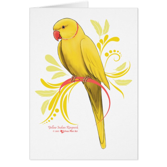 Yellow Indian Ringneck Parrot (Front)