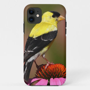 yellow_iphone bird iPhone 11 case