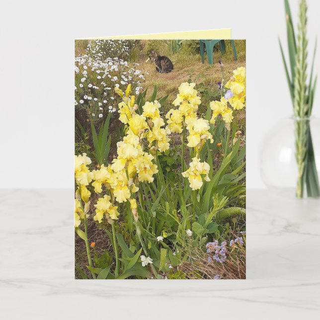 Yellow Iris and Tabby Cat Flower Floral Card (Front)