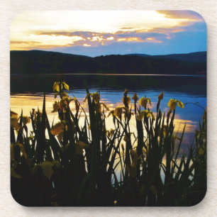 Yellow Iris at Lake Arrowhead shore Coaster