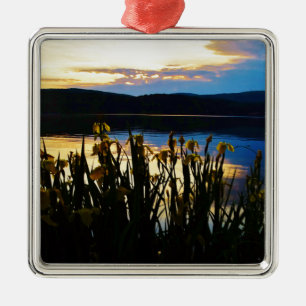 Yellow Iris at Lake Arrowhead shore Metal Ornament