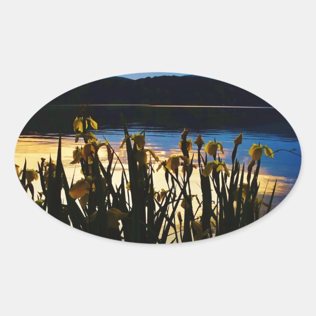 Yellow Iris at Lake Arrowhead shore Oval Sticker (Front)