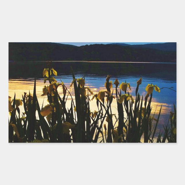 Yellow Iris at Lake Arrowhead shore Sticker (Front)