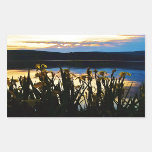 Yellow Iris at Lake Arrowhead shore Sticker