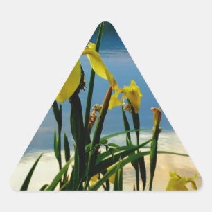 Yellow Iris at Lake Shore Triangle Sticker