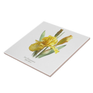 Yellow Iris Flower Botanical Style Art Tile