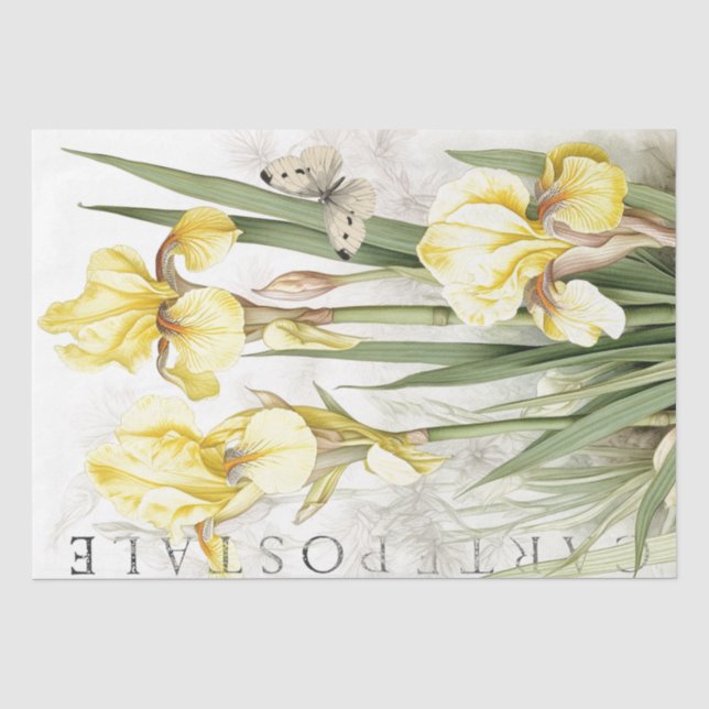 Yellow Iris Flower Butterfly French Decoupage Tissue Paper (Front)