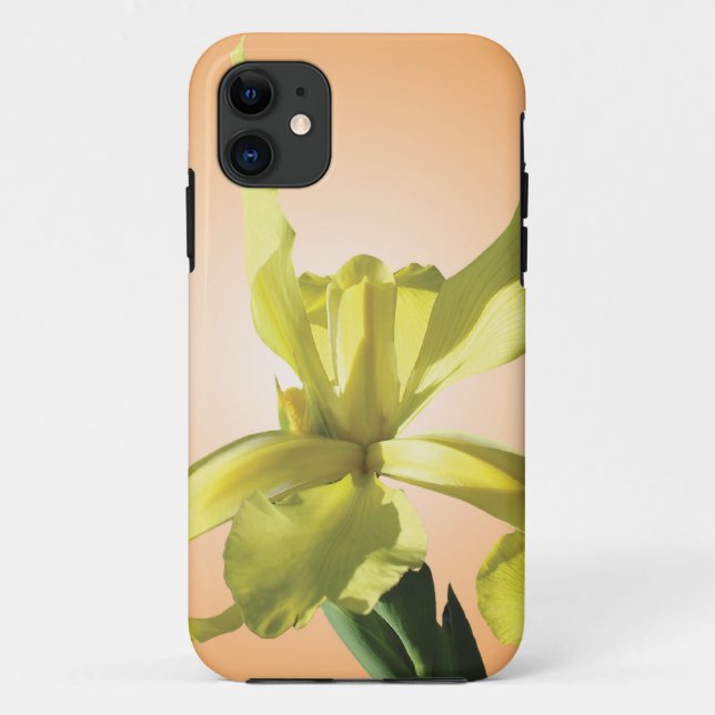 yellow iris flower in yellow background. Case-Mate iPhone case (Back)