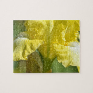 Yellow Iris Flower Jigsaw Puzzle