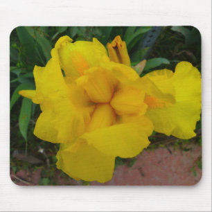 Yellow Iris Flower Mousepad