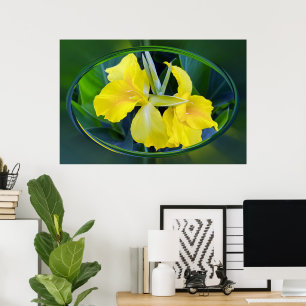 Yellow Iris flower Poster
