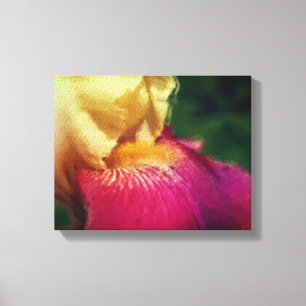 Yellow Iris Petal Flower Art Canvas Print