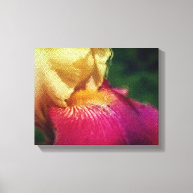 Yellow Iris Petal Flower Art Canvas Print (Front)