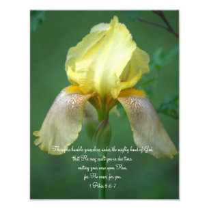 Yellow Iris Scripture Verse Photographic Print