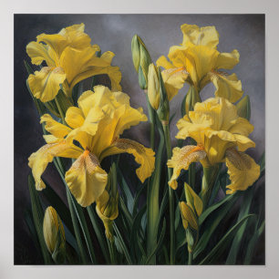 Yellow Irises Flower Art Print Poster