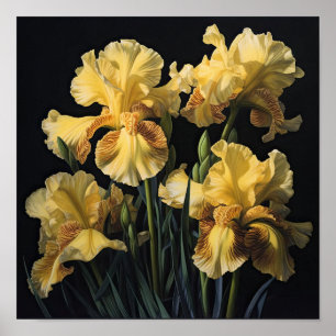 Yellow Irises Flower Art Print Poster