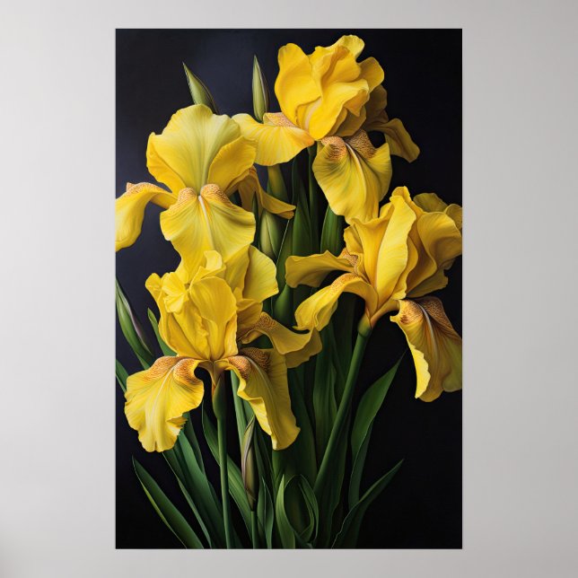Yellow Irises Flower Art Print Poster (Front)