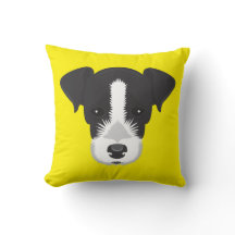 Yellow Jack Russell Terrier