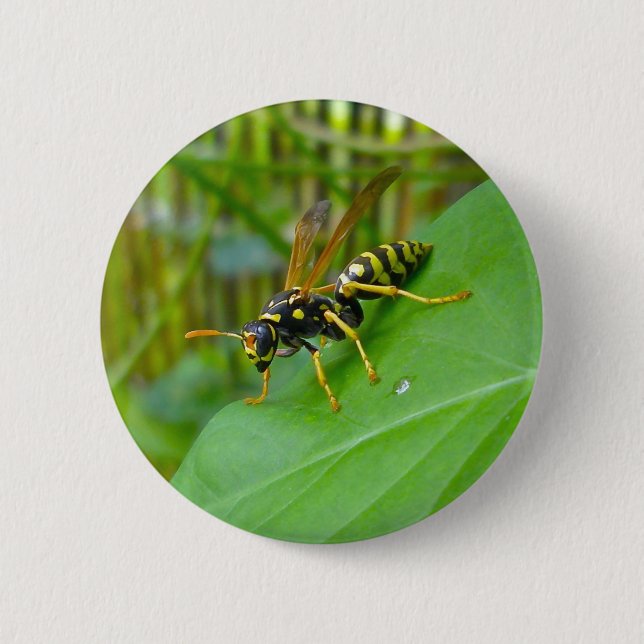 Yellow Jacket Badge 2 Inch Round Button (Front)