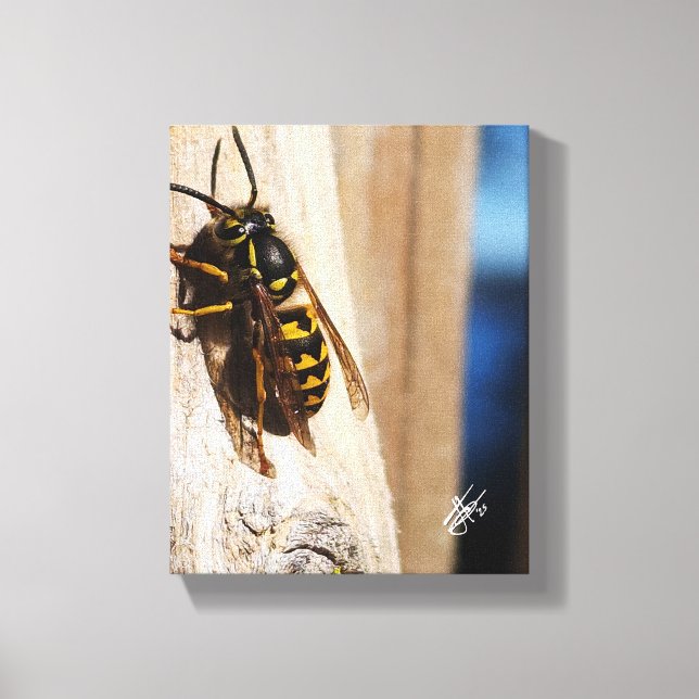 Yellow Jacket Freeland Close Up Photography Canvas Print (Front)