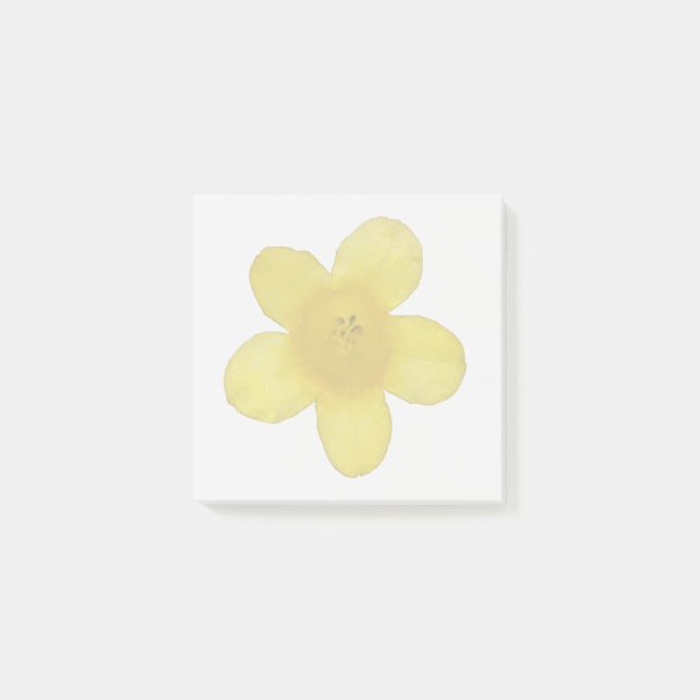 Yellow Jasmine Sticky Notes (Front)