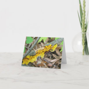 Yellow Jelly Mushroom Note Card