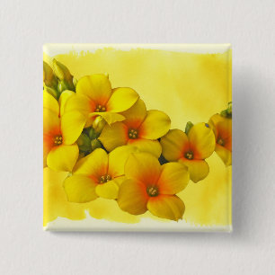 Yellow Kalanchoe - Succulent Sunshine 2 Inch Square Button