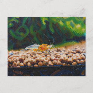 Yellow King Kong shrimp Postcard