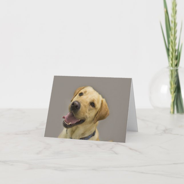 Yellow Lab Blank Note Card (Front)