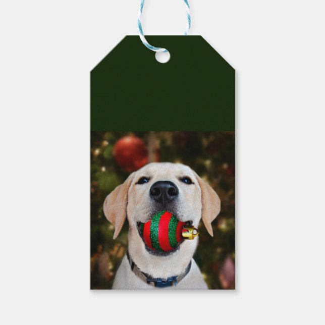 Yellow lab Christmas ball Gift Tags (Front)