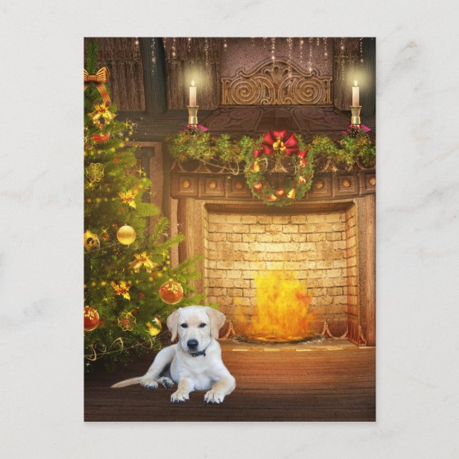 Yellow lab Christmas Holiday Postcard (Front)
