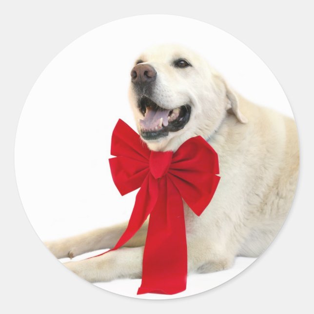 Yellow lab Christmas sticker (Front)