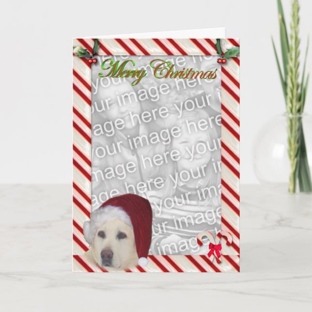 Yellow Lab Christmas Template Card (Front)