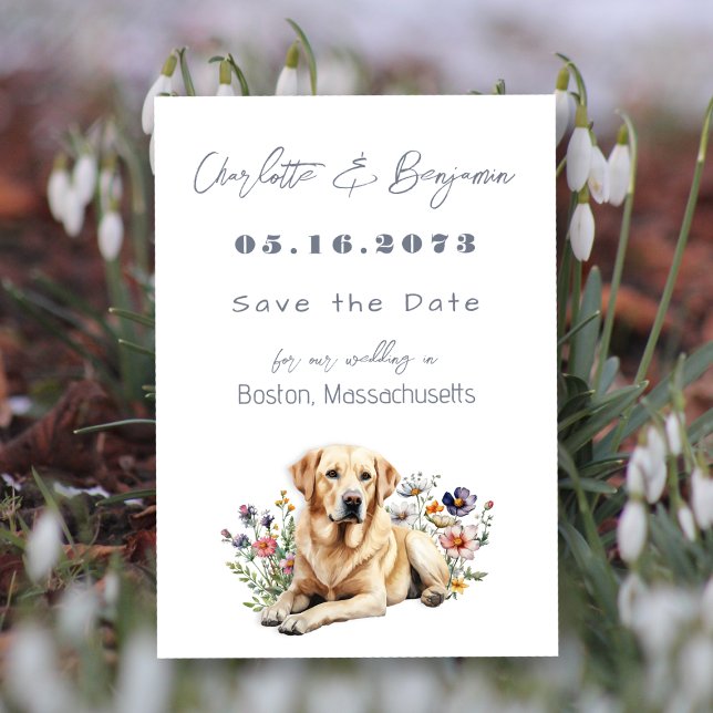 Yellow Lab Dog Wedding Save the Dates Date (Creator Uploaded)