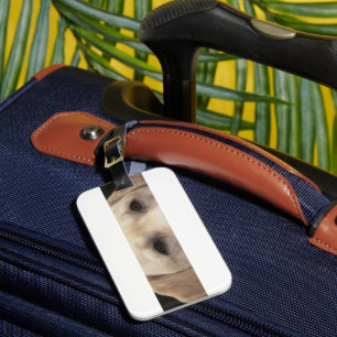 yellow lab eyes luggage tag