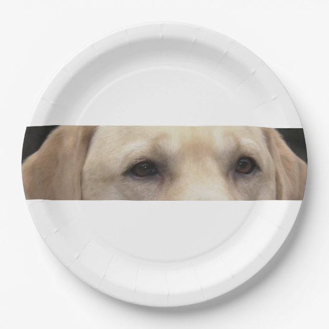 yellow lab eyes paper plate (Front)